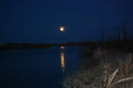 Природа Казахстана