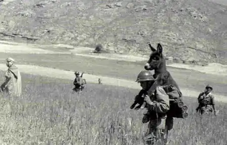Есть ли у военных чувство юмора?
