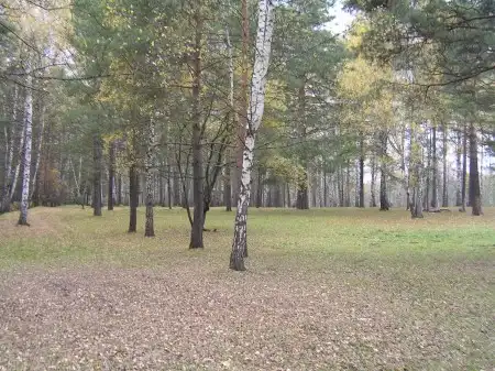 Северский лес