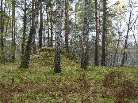 Северский лес