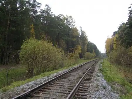 Северский лес