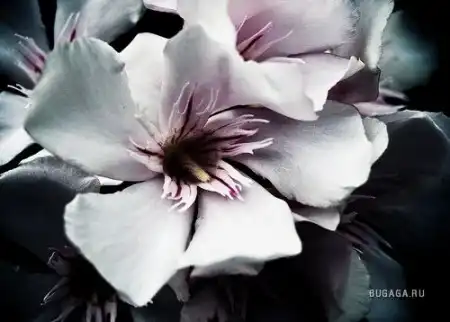 A moment...