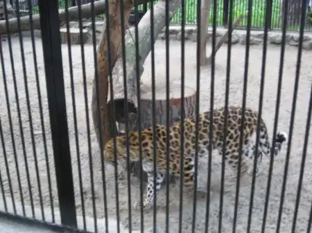 Немного фото из новосибирского зоопарка