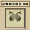 Аватарки Аватарки