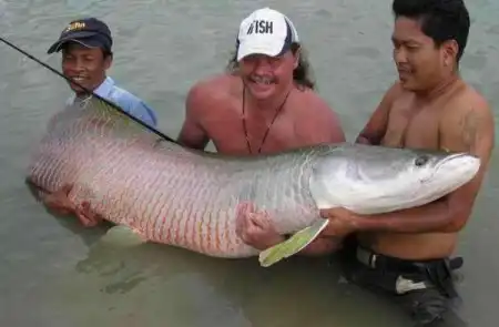 Рыбалка на Тайланде (39 фото)