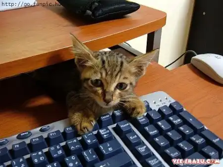 Приколы