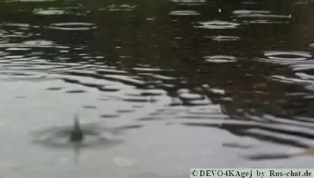 Осенний Дождь...
