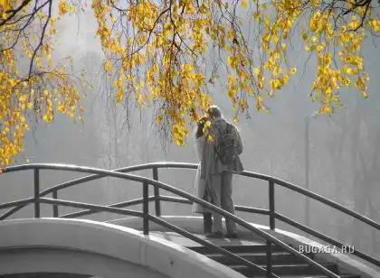 Черно-белая любовь