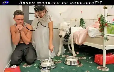 продолжение(фотоподборочка)-__-