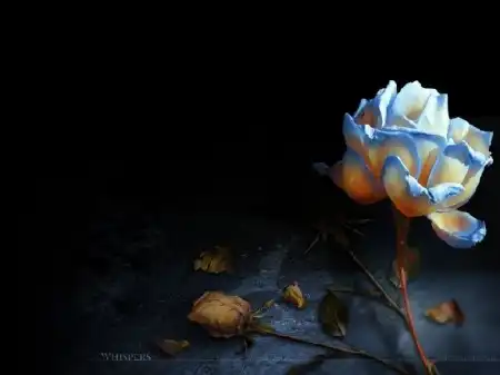 †~(=[С Днем Рождения Сереженька] =)~†