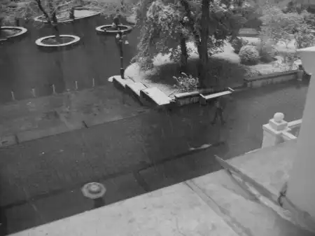 Дождь.