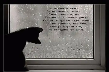 Картиночки
