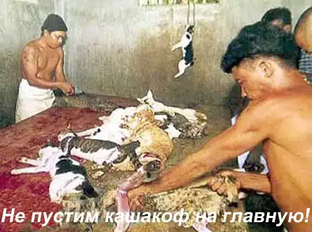 Они больше не дышат...