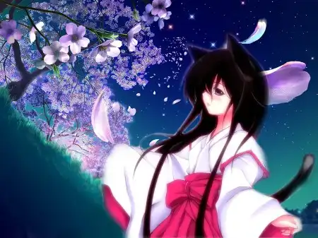 Anime Wallpapers 2