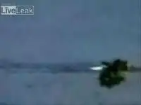 Птичка сильно проголодалась Птичка сильно проголодалась