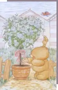 Мишки Bears