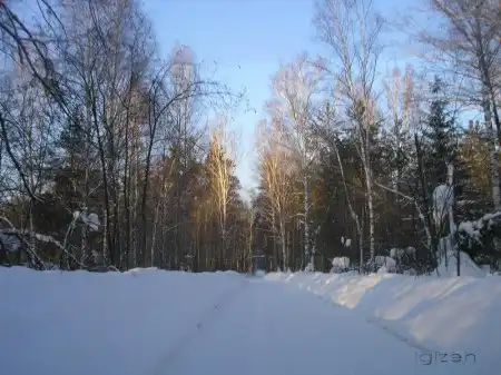 Дорога..и не только