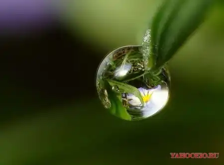 Капли воды