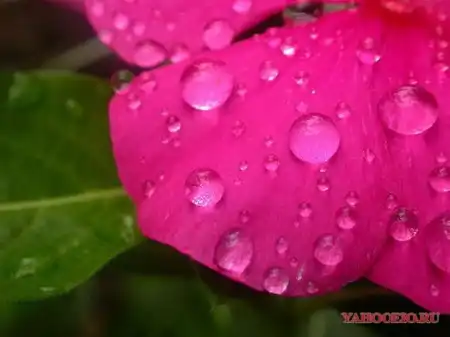 Капли воды