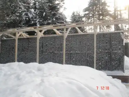 Что случилось в Лагерном саду?