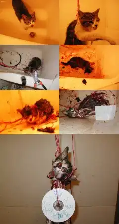 Вы хотели этого, вот и получите