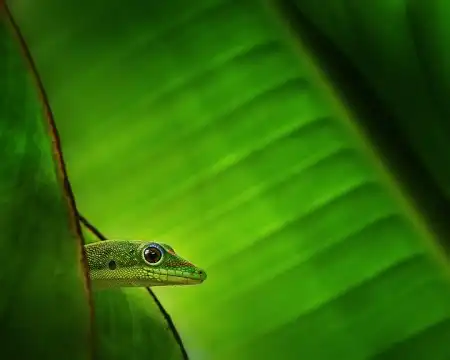 Фотограф Yves Rubin