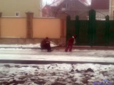 Пользователи просто прислали фотки на один из сайтов