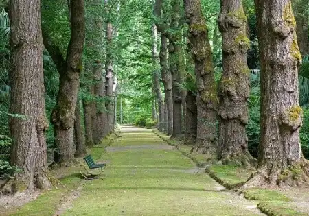 World In Photo 2