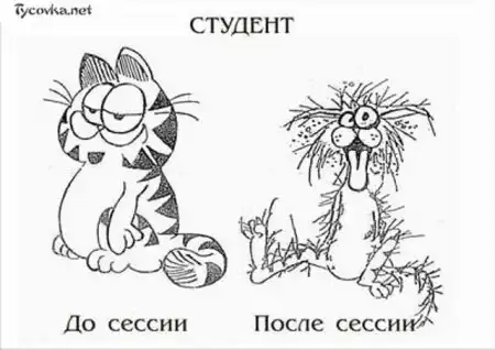 Подборка картинок