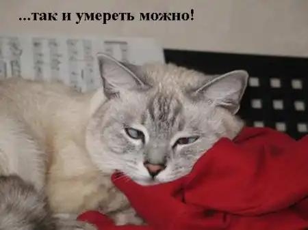 Зверинная работа в понедельник))) Зверинная работа в понедельник)))