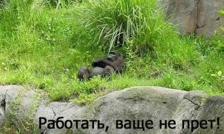 Зверинная работа в понедельник))) Зверинная работа в понедельник)))