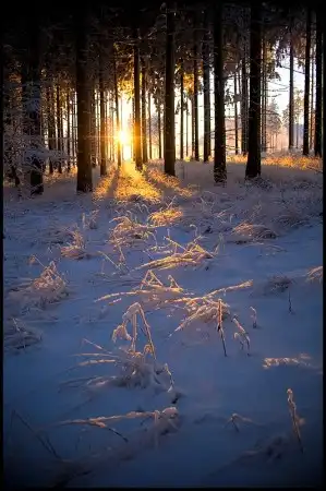 Мир в Фотографии - World in Photo (часть 3)