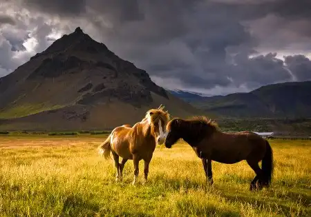 Мир в Фотографии - World in Photo (часть 3)