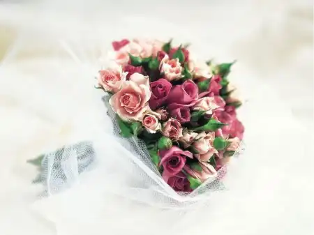 Розы