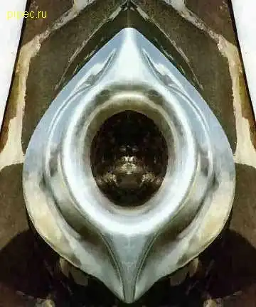 Она везде