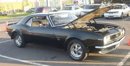 Chevrolet Camaro - злое животное, питающееся мустангами!