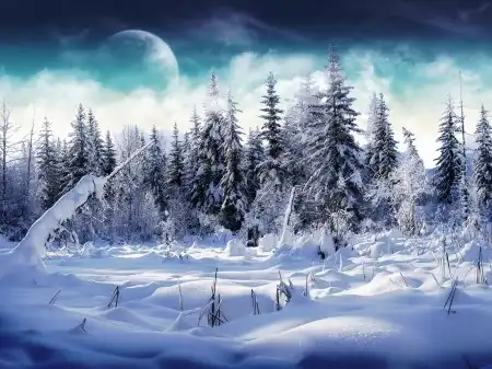 Wallpapers [200]