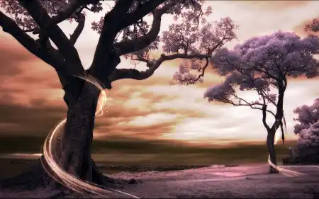 Wallpapers [200]