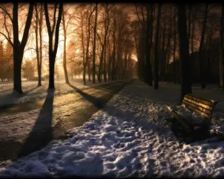 Wallpapers [200]