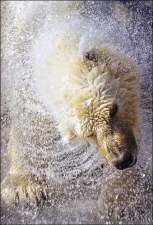 Мир в фотографии