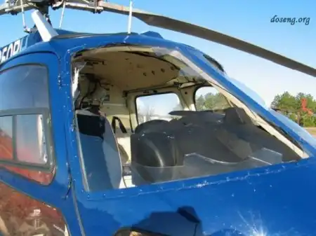 В США вертолет столкнулся со стаей гусей