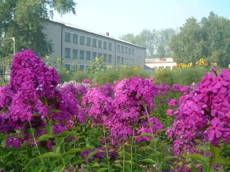 Кожевниково