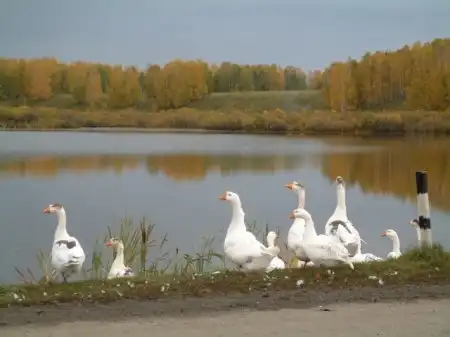 Кожевниково