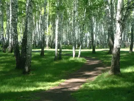 Кожевниково