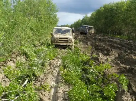 Дорога Томск-Кедровый