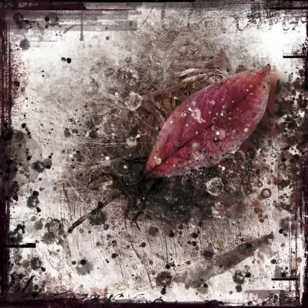 Eric Lacombe (France)