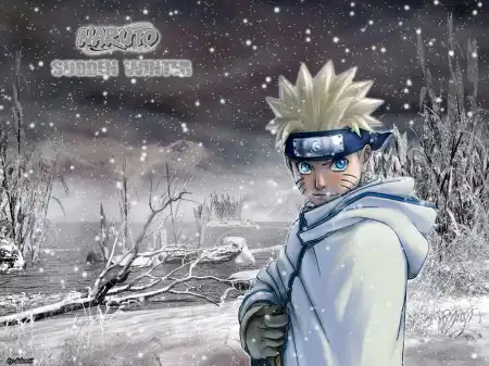 NARUTO