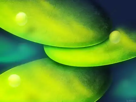 Super Creative Wallpapers