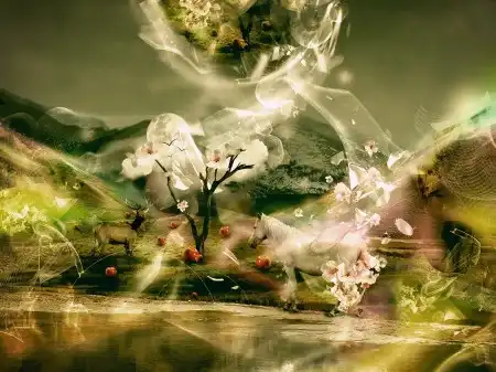 Super Creative Wallpapers