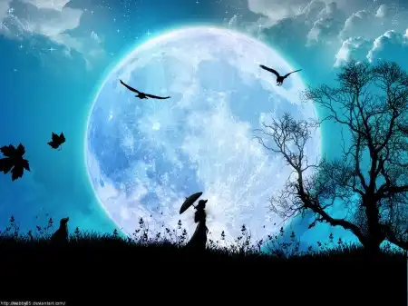 Super Creative Wallpapers